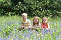 IMG_4675_0022
