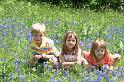 IMG_4676_0021